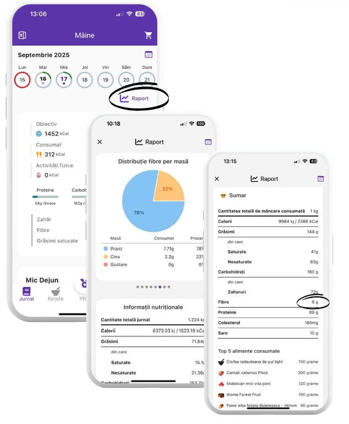 Monitorizarea Fibrelor.png